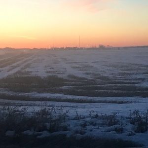 Meet your Posher, Rylee